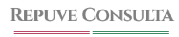 Repuve Consulta